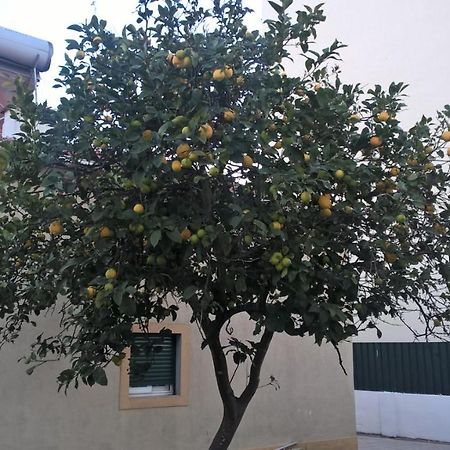 Quinta do Conde Casa Do Limoeiro B&B 외부 사진